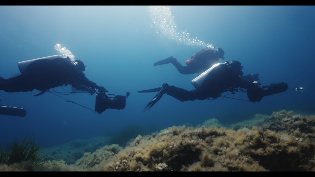 ABYSS DISCOVERY